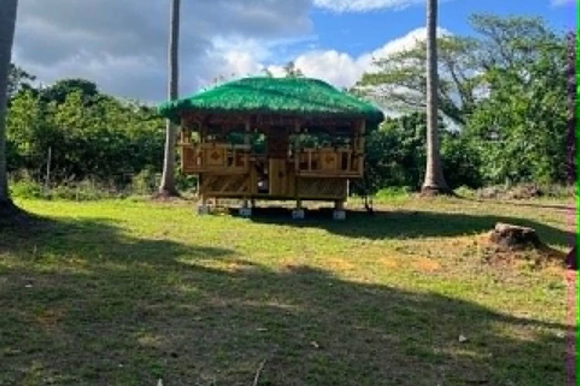 Land for Sale in Suplang, Tanauan, Batangas – photo 5