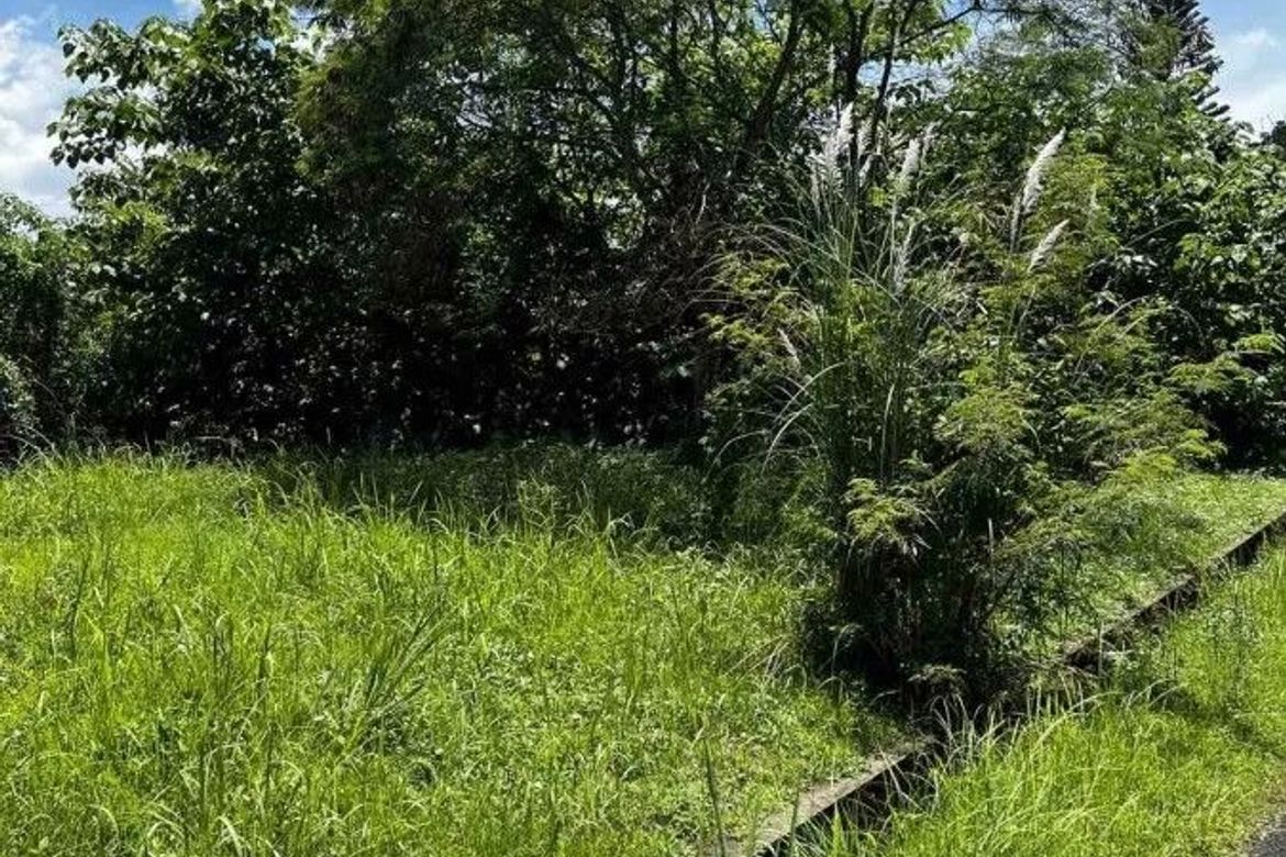 Land for Sale in Suplang, Tanauan, Batangas – photo 2