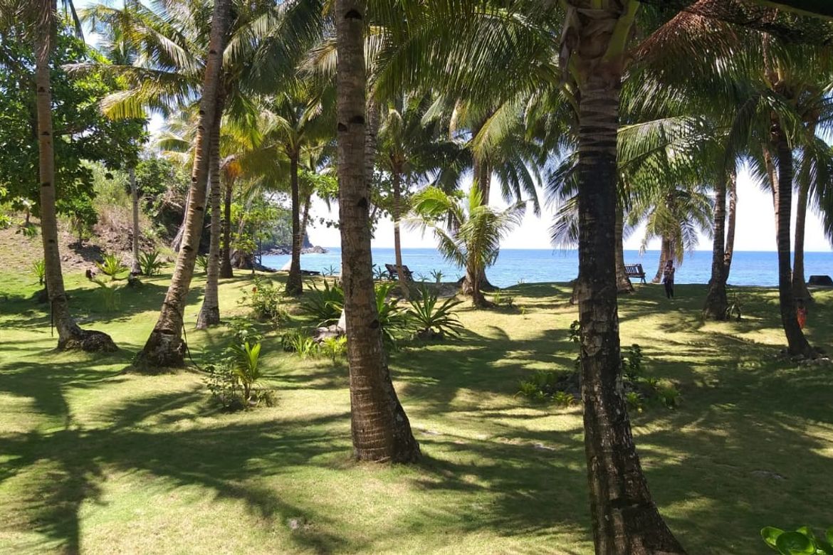 Land for Sale in Suyangan, General Luna, Surigao del Norte – photo 4