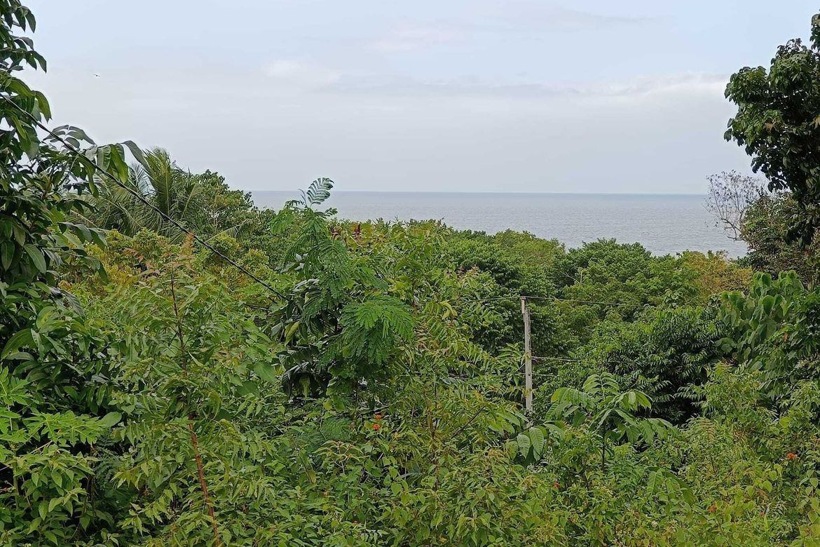 Land for Sale in Tabalong, Dauis, Bohol