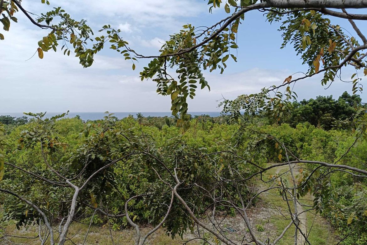 Land for Sale in Tabalong, Dauis, Bohol – photo 2