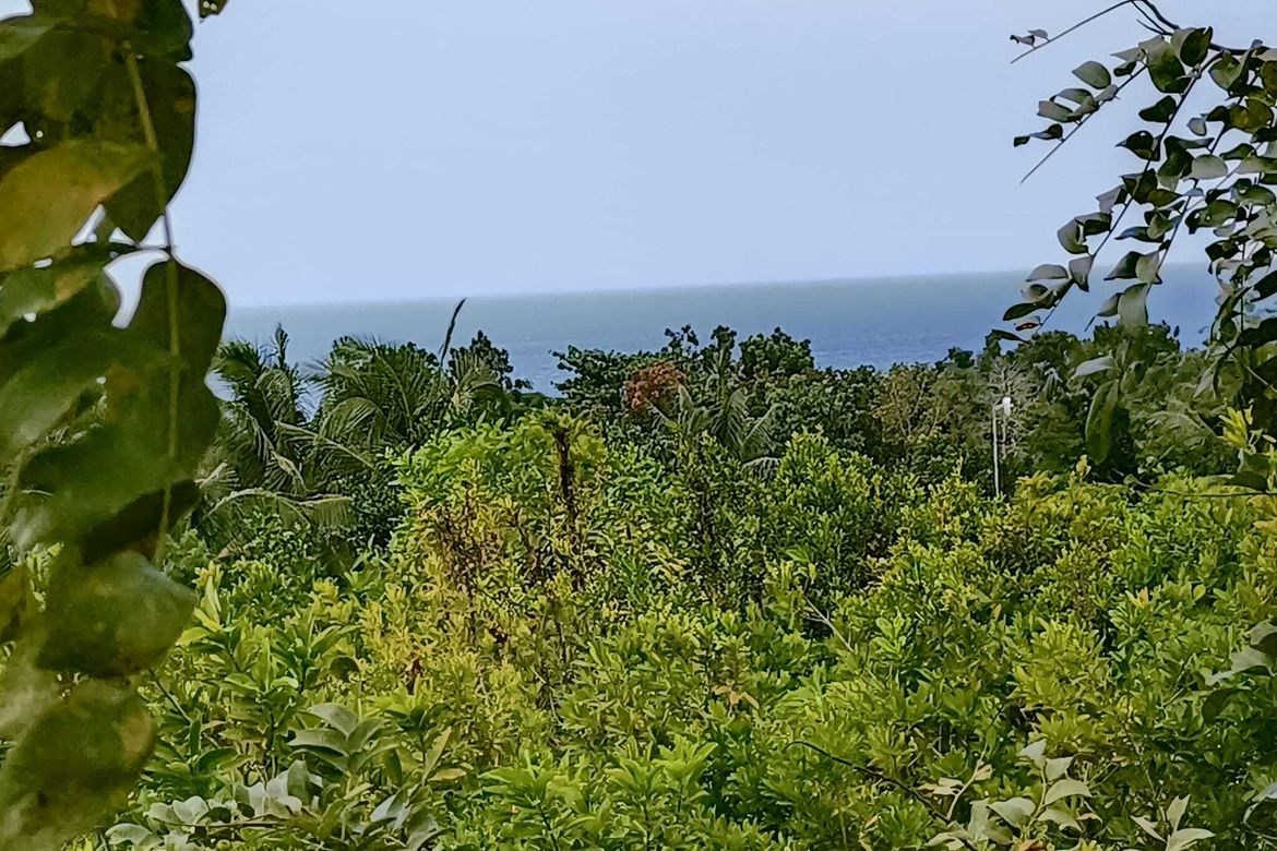 Land for Sale in Tabalong, Dauis, Bohol – photo 5