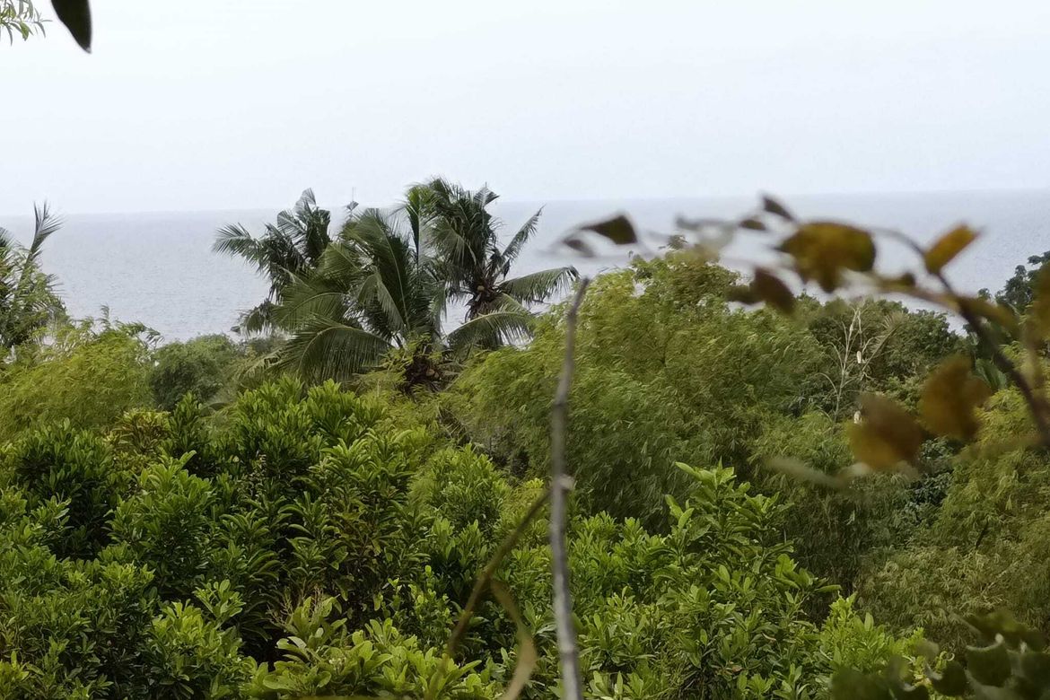 Land for Sale in Tabalong, Dauis, Bohol – photo 7