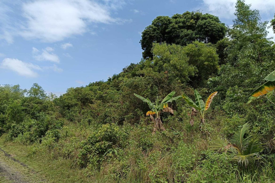 Land for Sale in Tabalong, Dauis, Bohol – photo 8