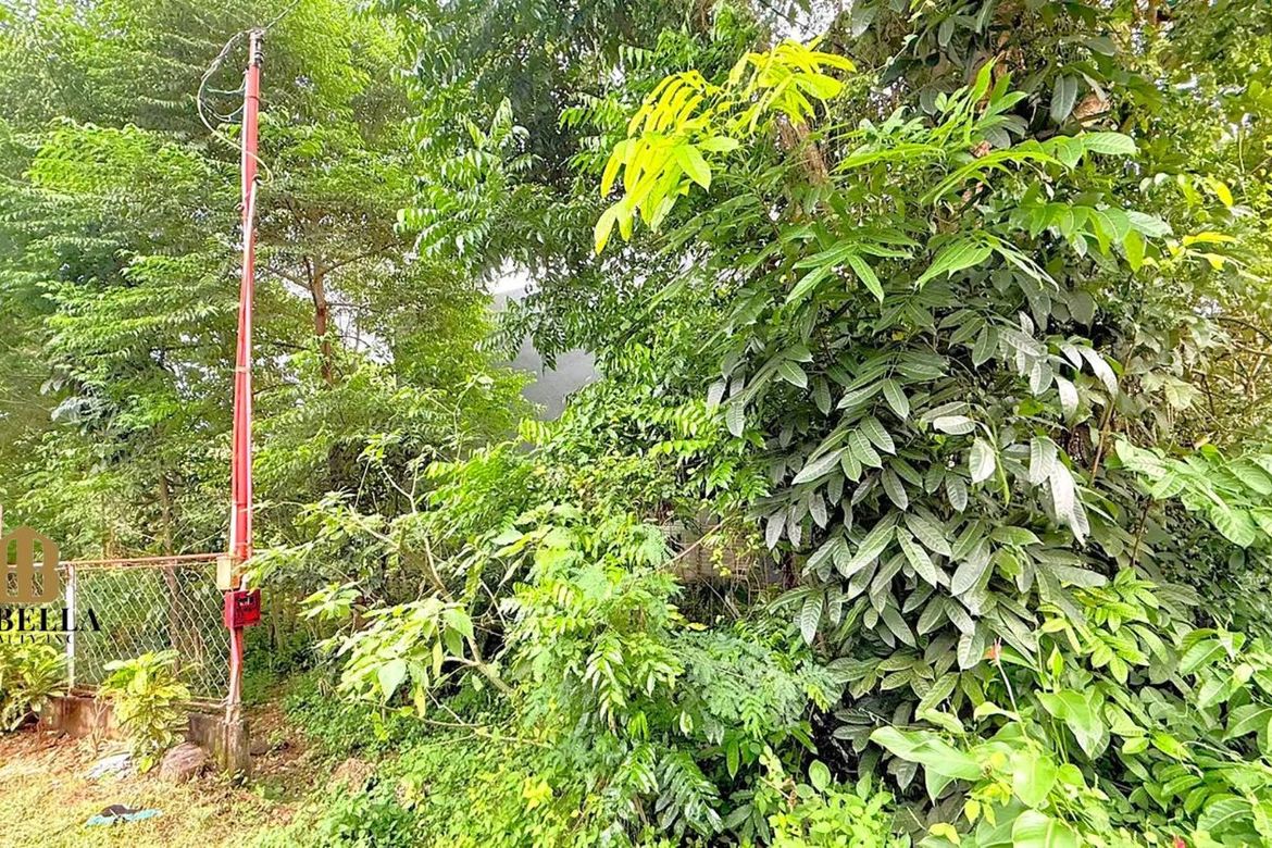 Land for Sale in Tabalong, Dauis, Bohol – photo 5
