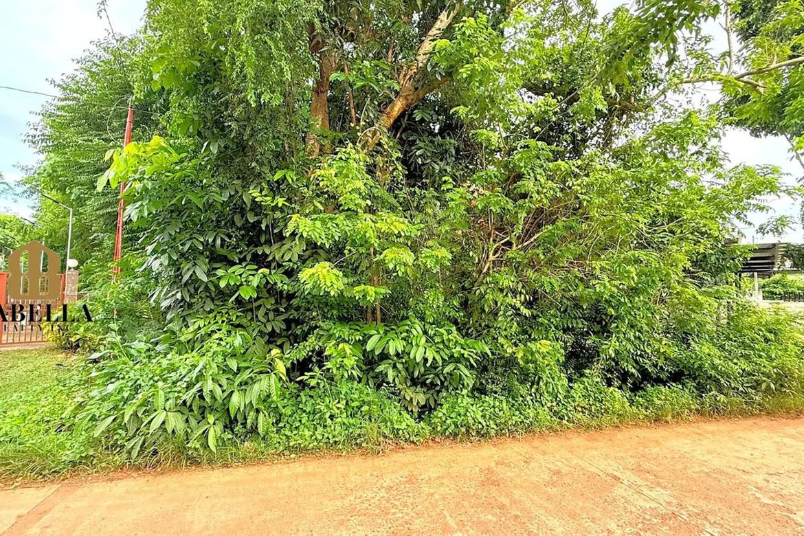 Land for Sale in Tabalong, Dauis, Bohol – photo 7