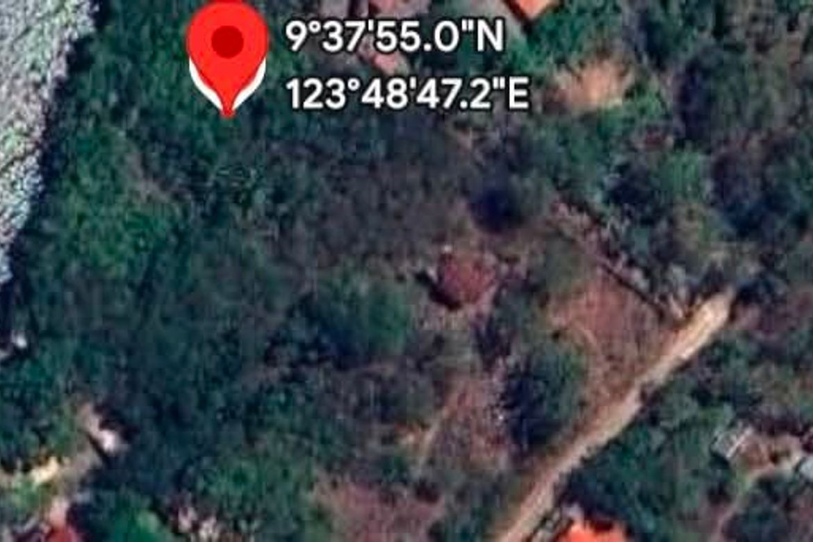 Land for Sale in Tabalong, Dauis, Bohol – photo 4