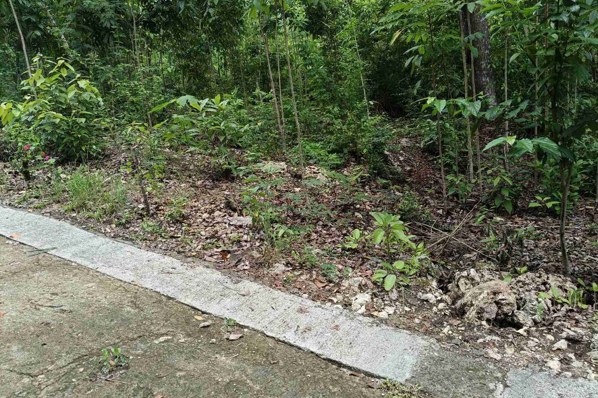 Land for Sale in Tabalong, Dauis, Bohol – photo 2