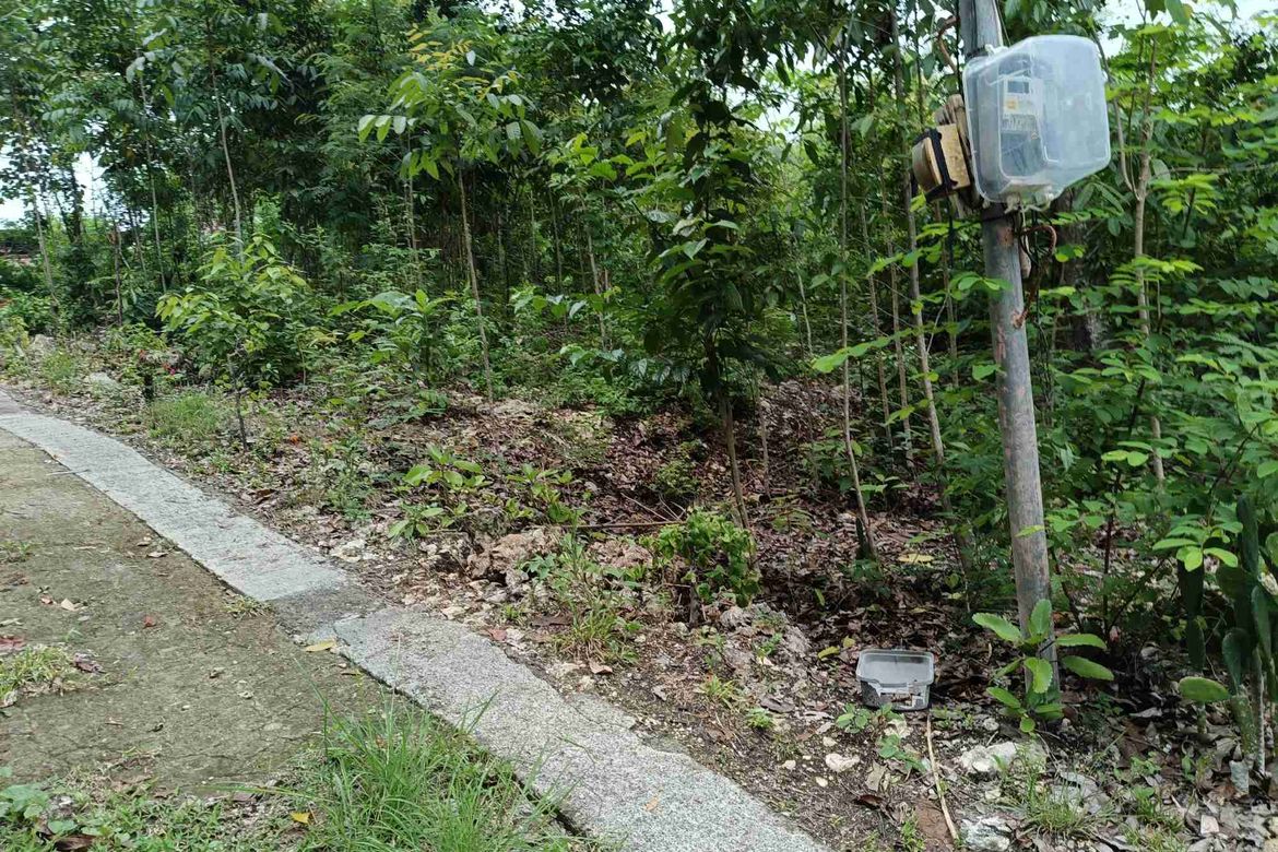 Land for Sale in Tabalong, Dauis, Bohol – photo 4