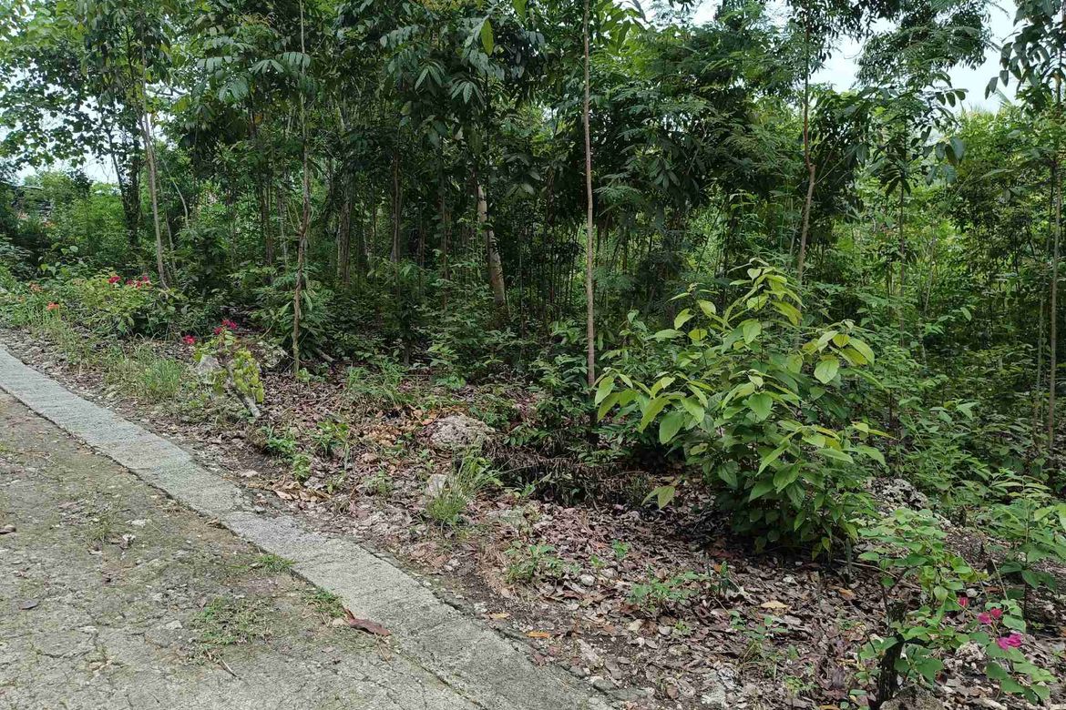 Land for Sale in Tabalong, Dauis, Bohol – photo 6