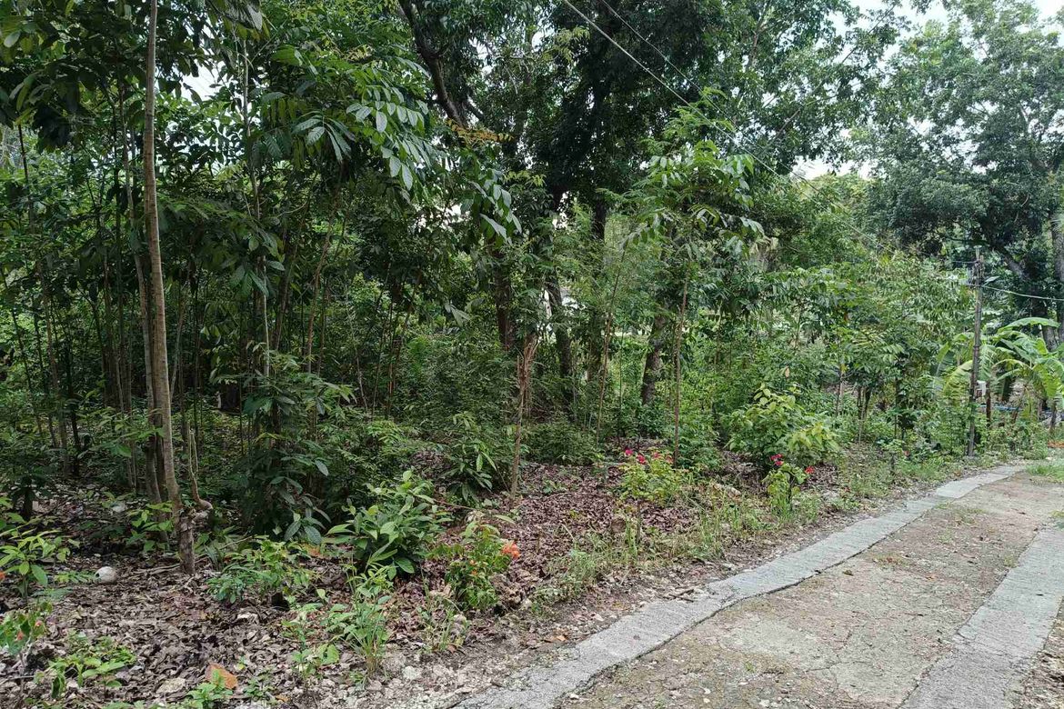 Land for Sale in Tabalong, Dauis, Bohol – photo 7