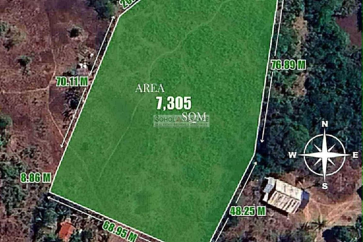 Land for Sale in Tabalong, Dauis, Bohol – photo 2
