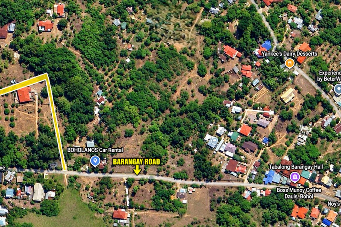 Land for Sale in Tabalong, Dauis, Bohol – photo 4
