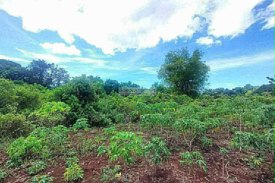 Land for Sale in Tabalong, Dauis, Bohol – photo 5