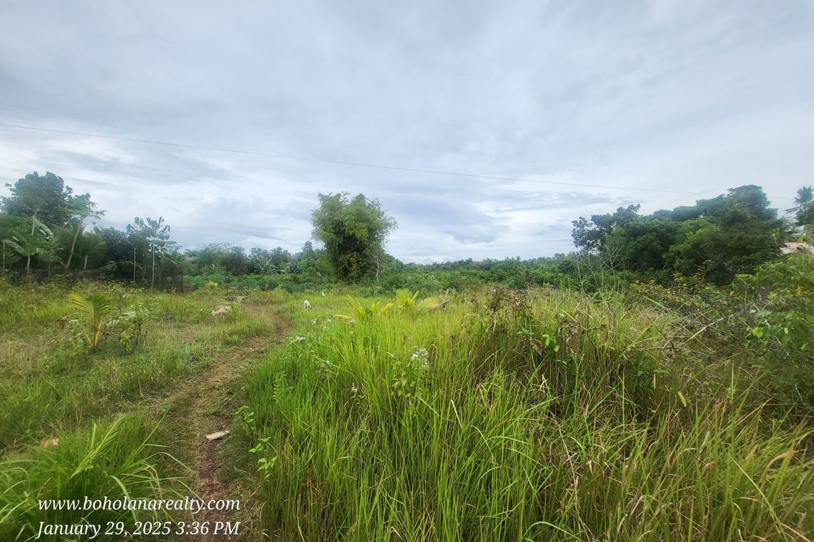 Land for Sale in Tabalong, Dauis, Bohol – photo 4