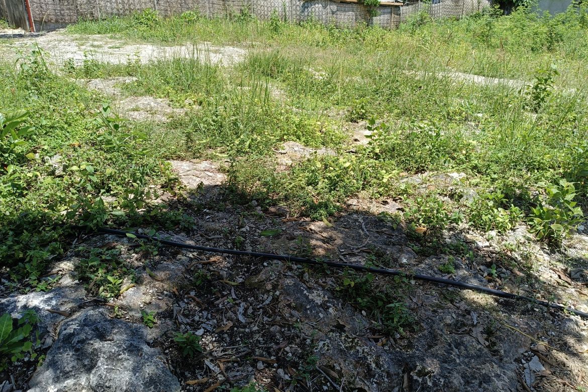 Land for Sale in Tabalong, Dauis, Bohol – photo 2