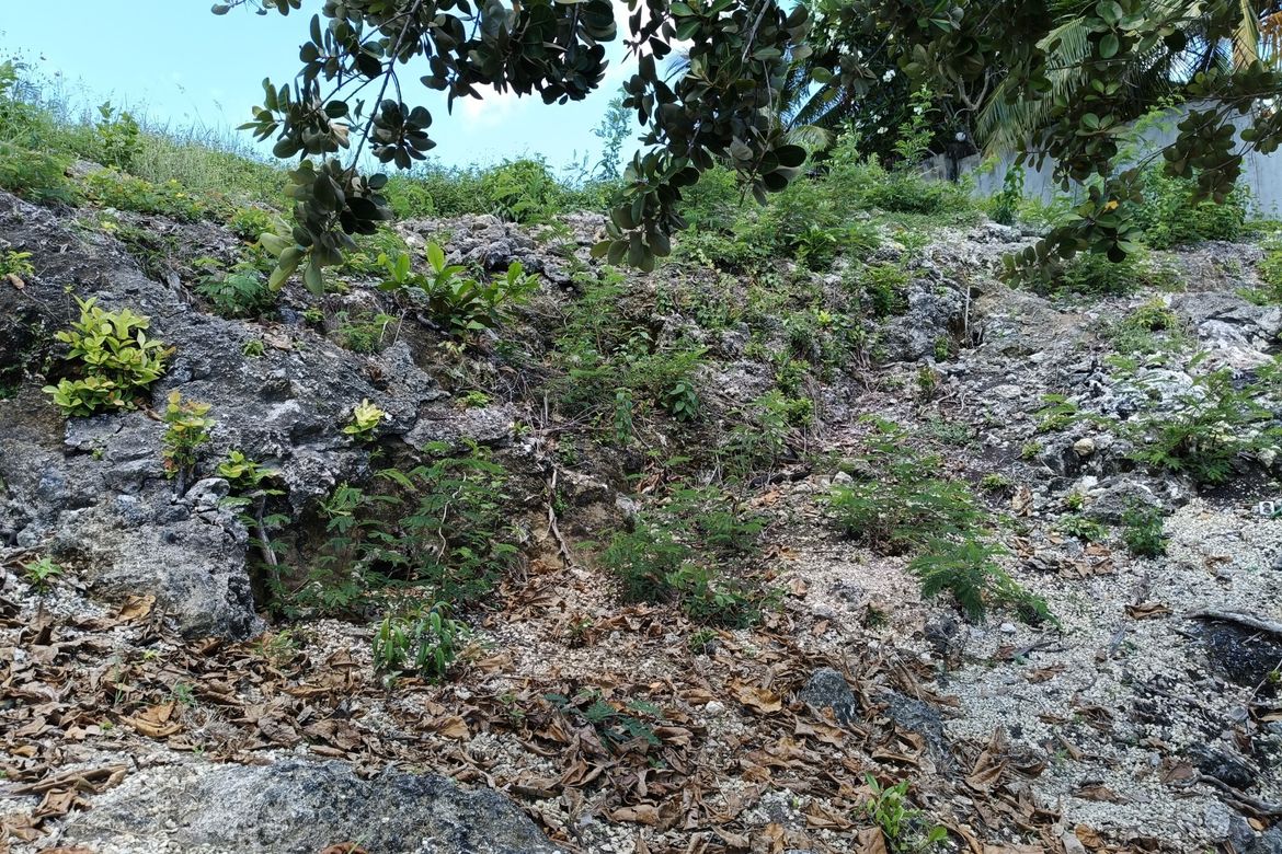 Land for Sale in Tabalong, Dauis, Bohol – photo 4