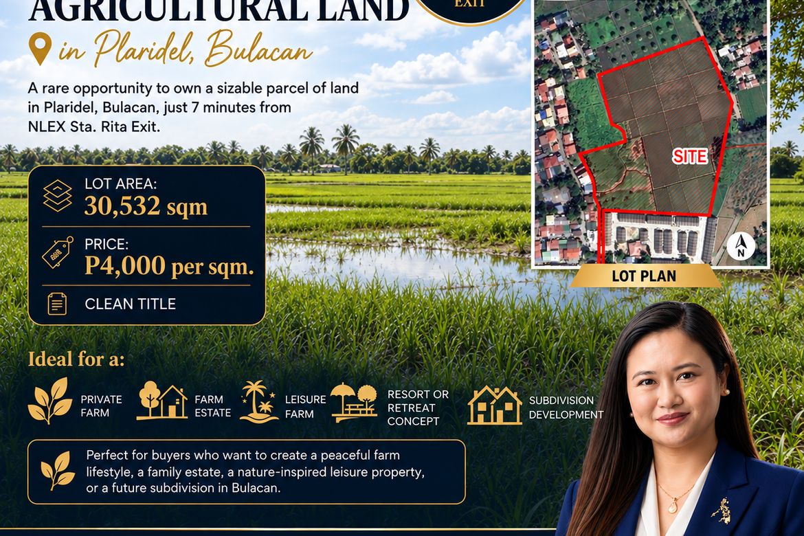 Land for Sale in Tabang, Plaridel, Bulacan