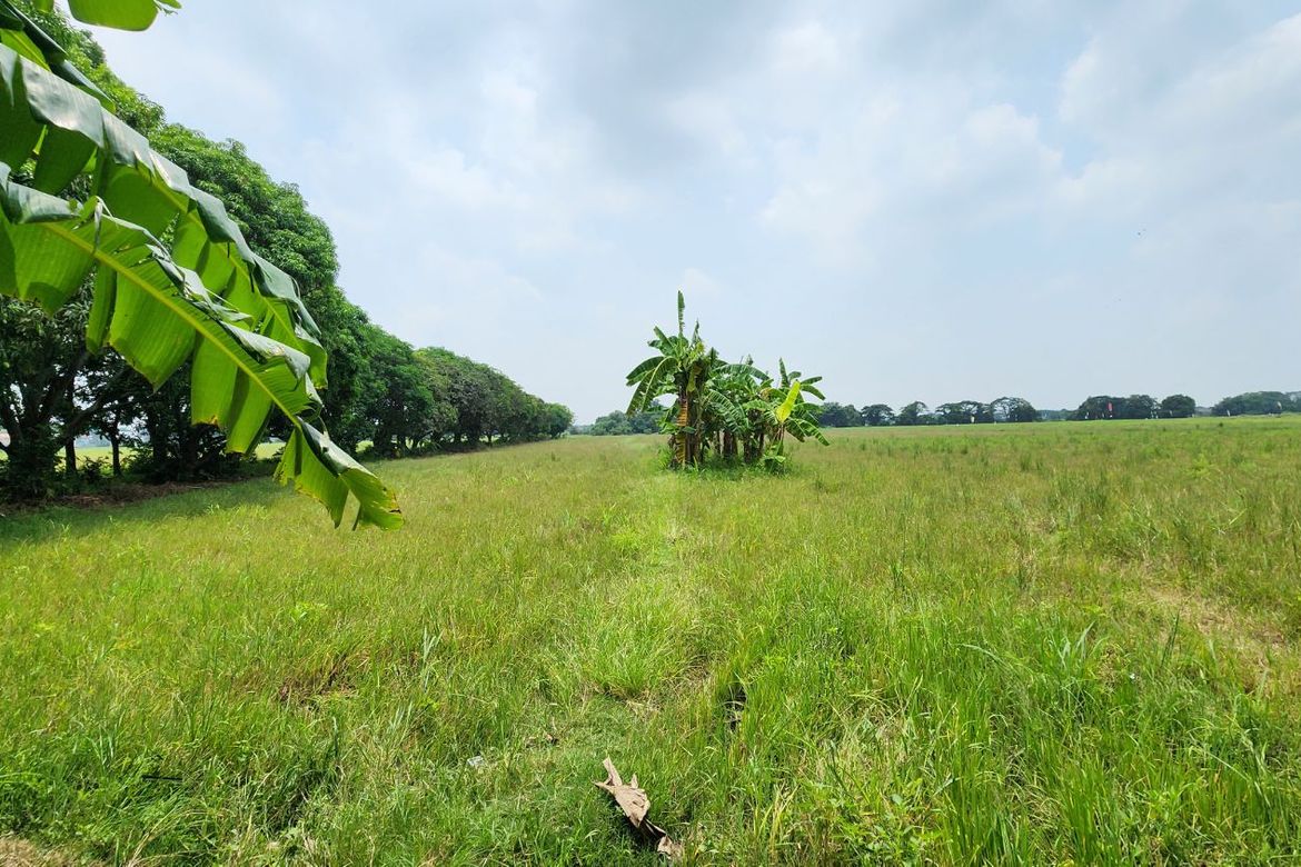 Land for Sale in Tabang, Plaridel, Bulacan – photo 4