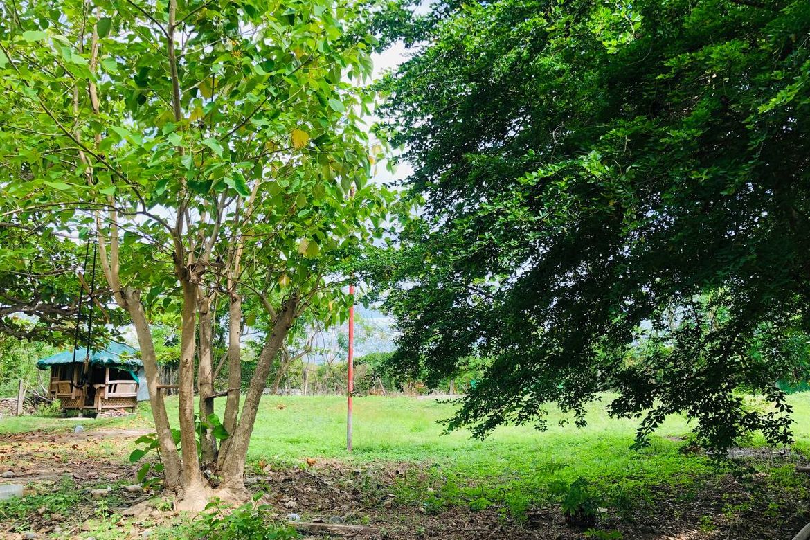Land for Sale in Taberna, Bauang, La Union – photo 3