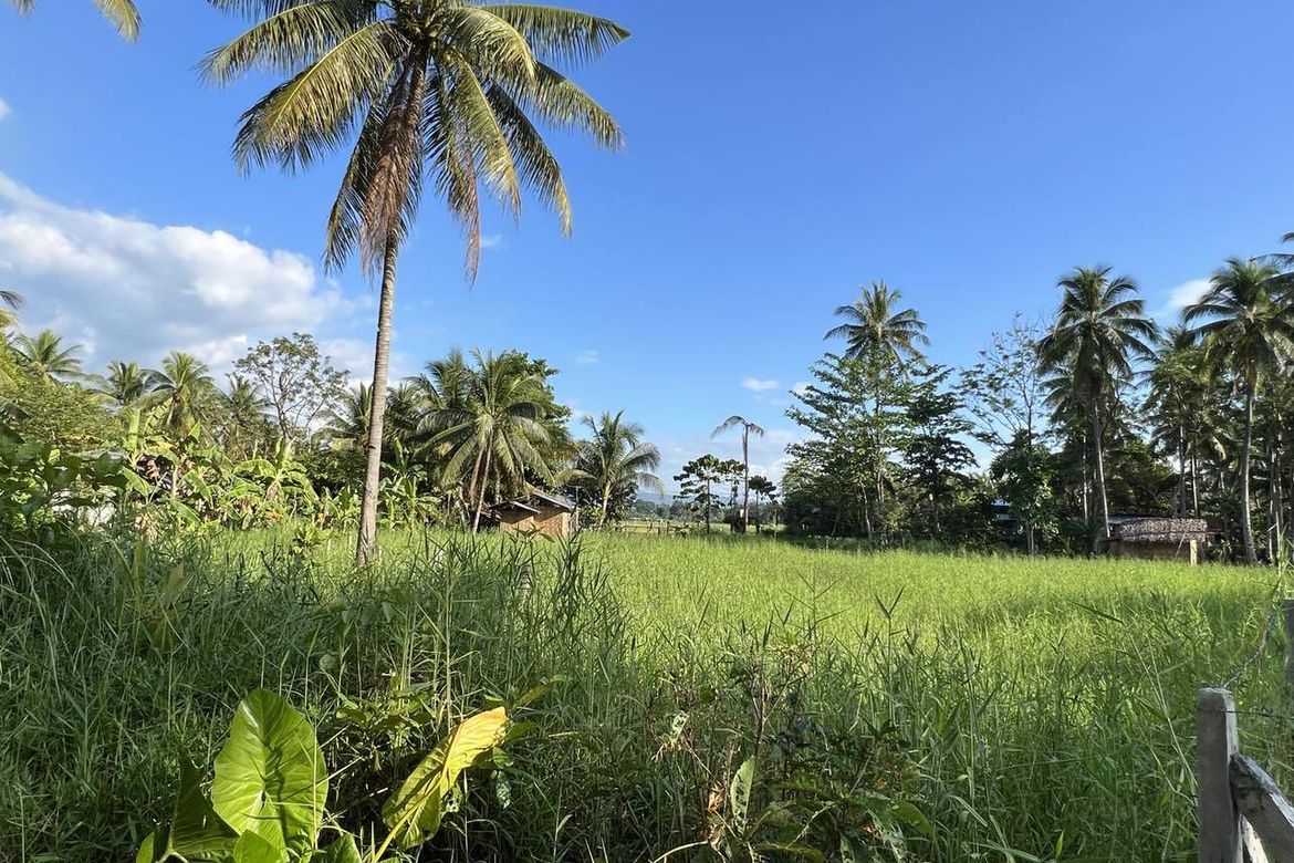 Land for Sale in Tabok, Lagonglong, Misamis Oriental – photo 3
