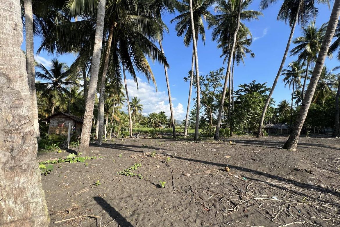 Land for Sale in Tabok, Lagonglong, Misamis Oriental – photo 5