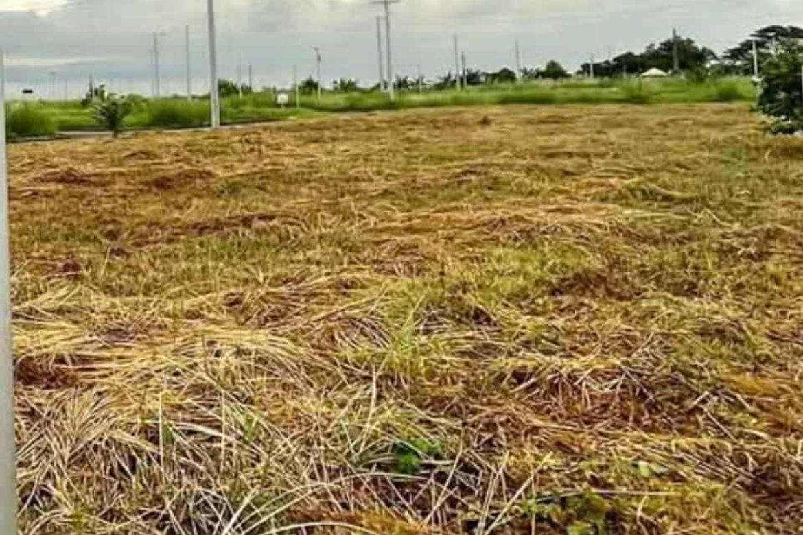 Land for Sale in Tabun, Mabalacat, Pampanga – photo 5