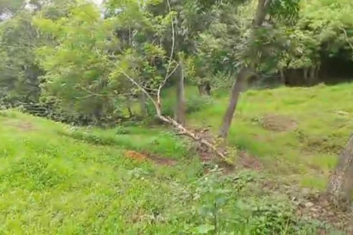 Land for Sale in Tabunan, Cebu City, Cebu – photo 2