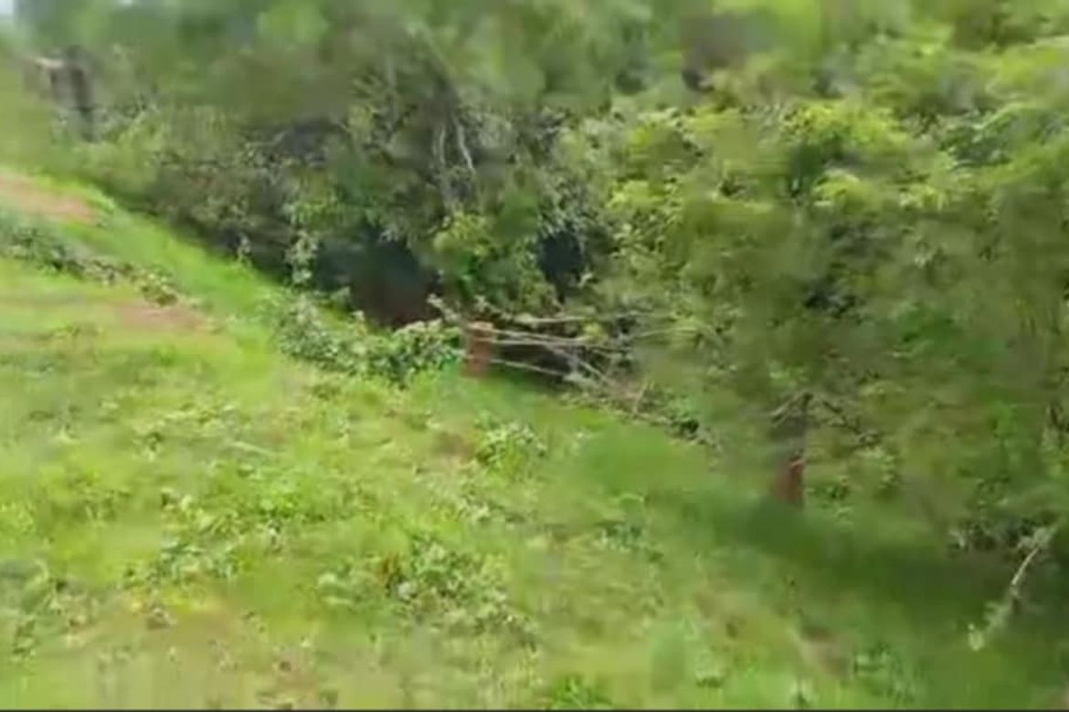 Land for Sale in Tabunan, Cebu City, Cebu – photo 4