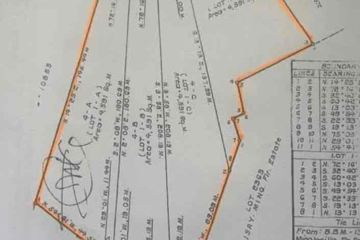 Land for Sale in Tabunoc, Talisay, Cebu – photo 5