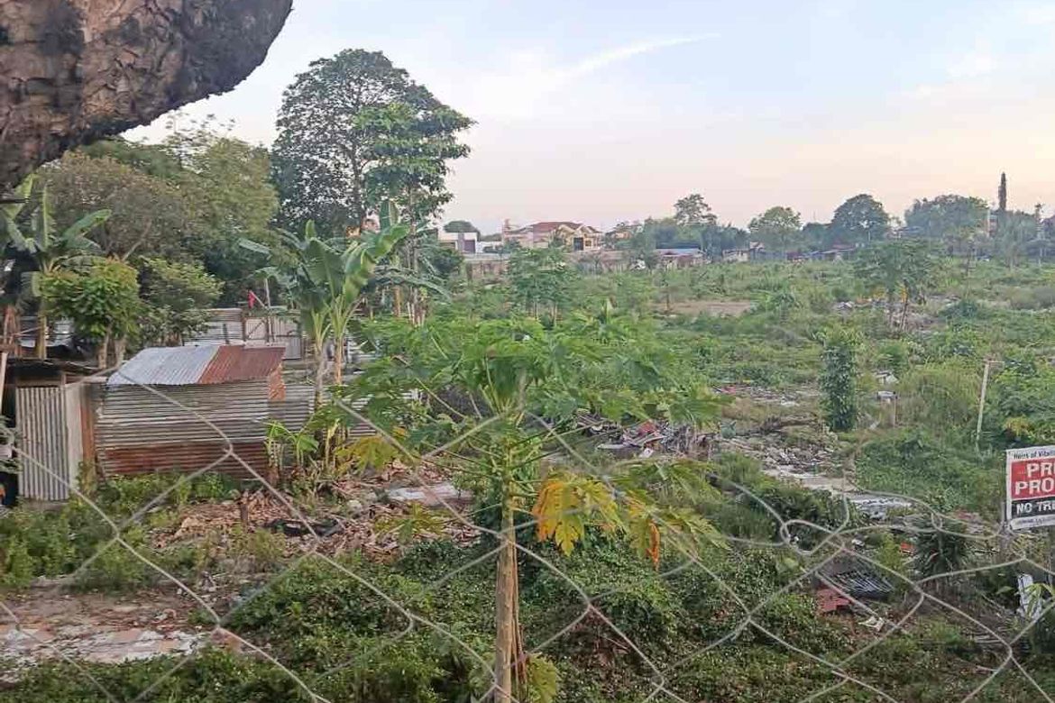 Land for Sale in Tabunoc, Talisay, Cebu – photo 6