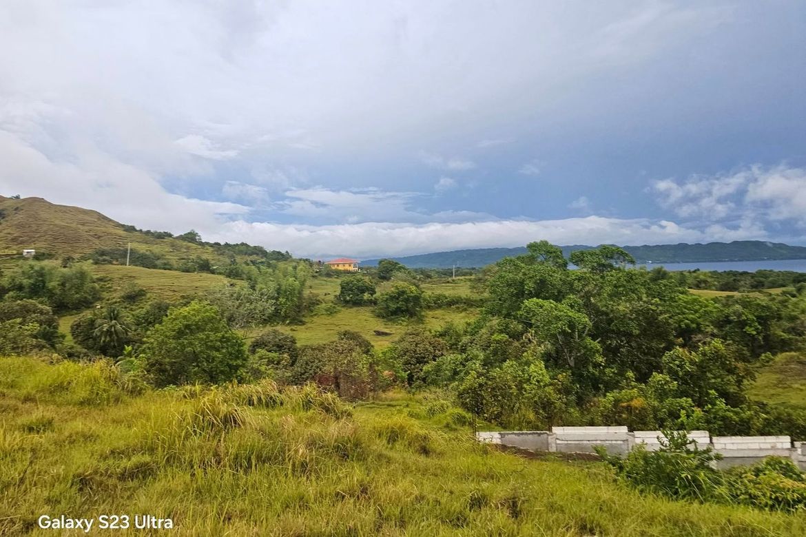 Land for Sale in Tabunok, Guindulman, Bohol – photo 3