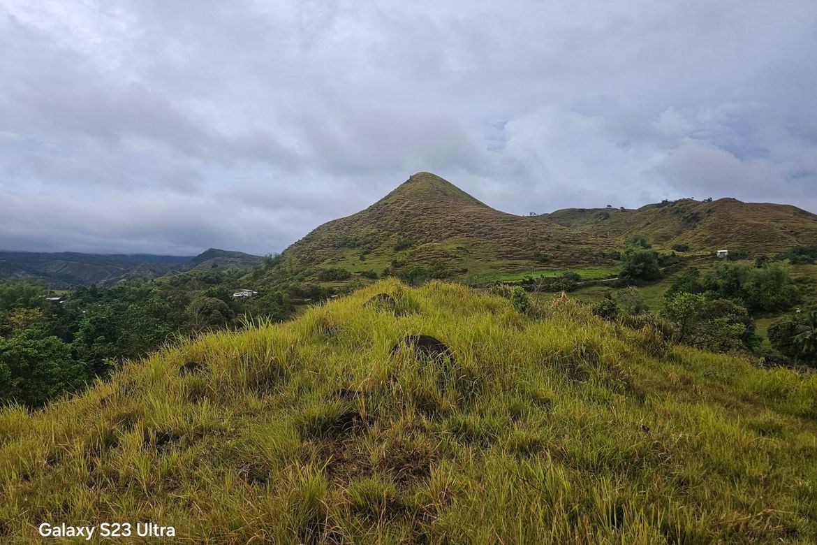 Land for Sale in Tabunok, Guindulman, Bohol – photo 5