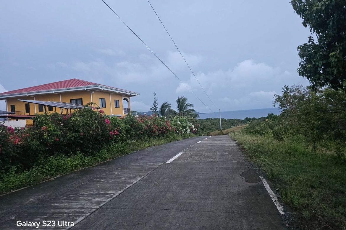 Land for Sale in Tabunok, Guindulman, Bohol – photo 6