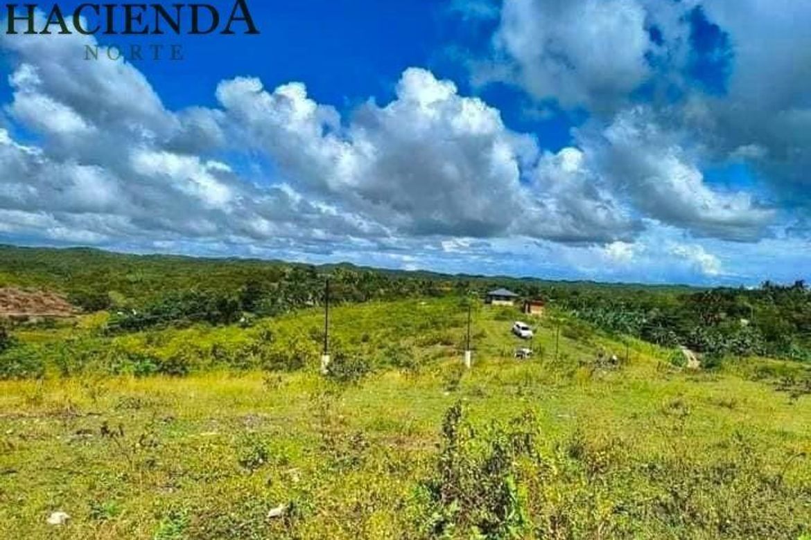 Land for Sale in Tabunok, Tabuelan, Cebu