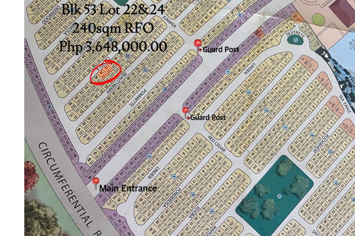 Land for Sale in Tacas, Iloilo City, Iloilo – photo 2