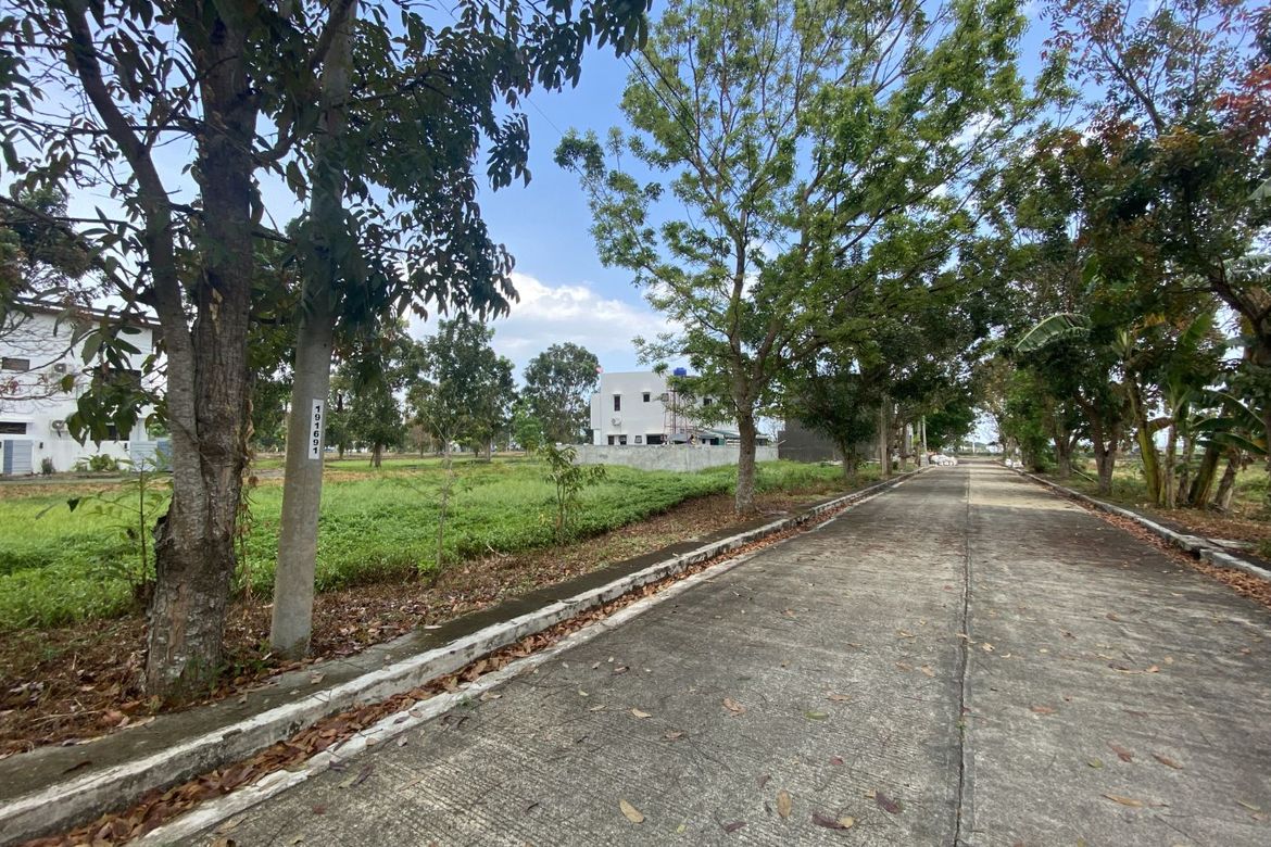 Land for Sale in Tacas, Iloilo City, Iloilo – photo 4