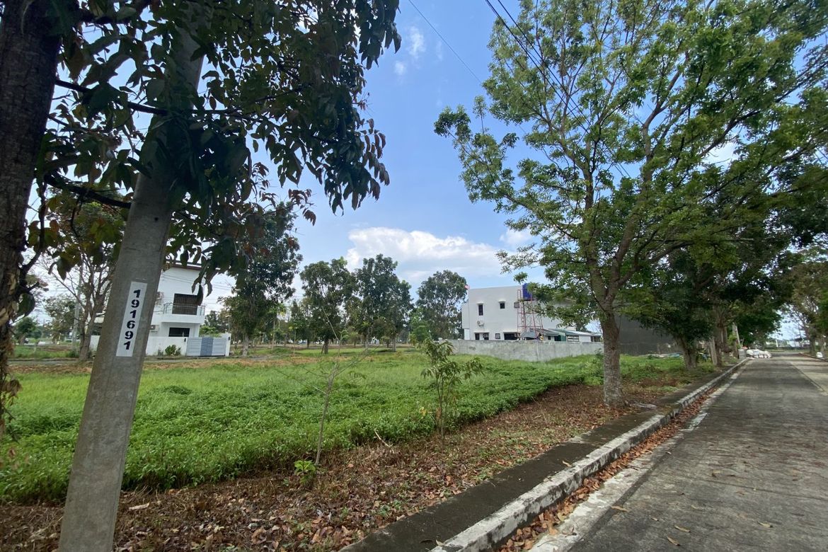 Land for Sale in Tacas, Iloilo City, Iloilo – photo 5