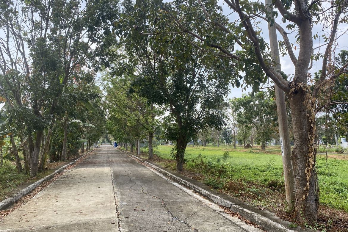 Land for Sale in Tacas, Iloilo City, Iloilo – photo 6