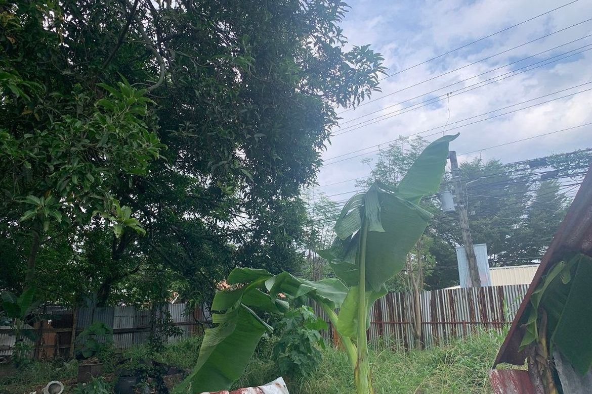 Land for Sale in Taclobo, Dumaguete, Negros Oriental