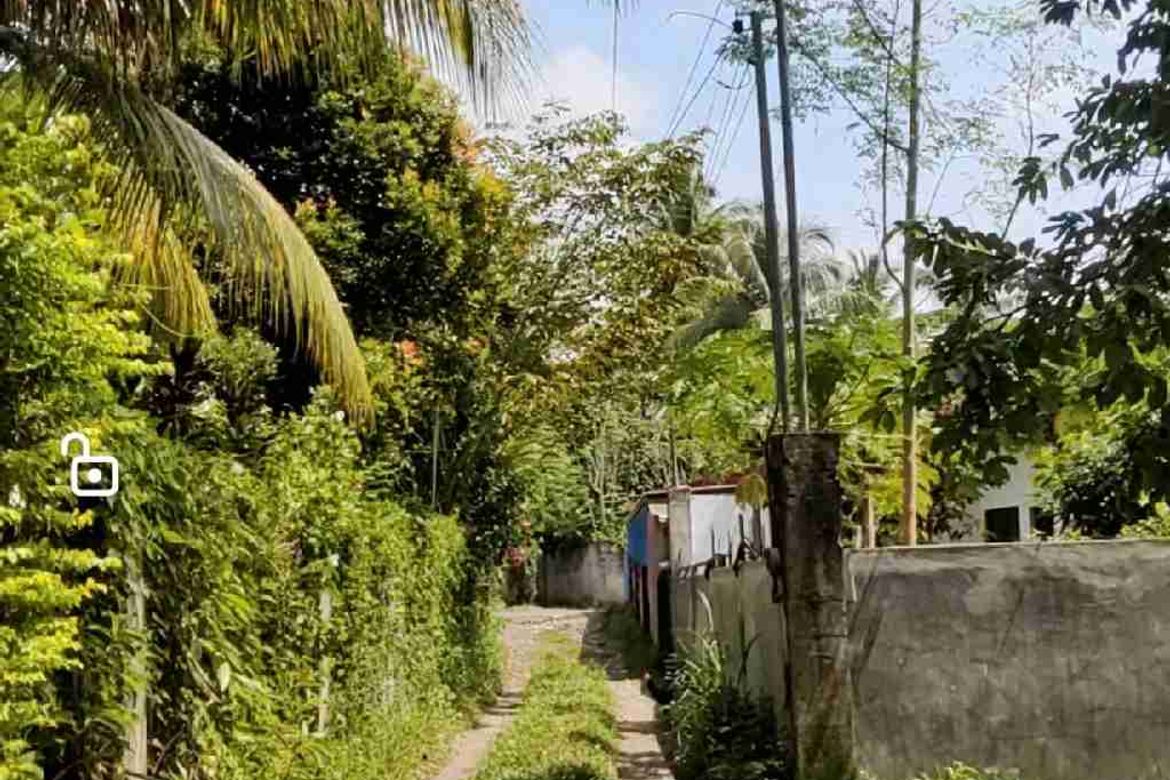 Land for Sale in Tacunan, Davao City, Davao del Sur – photo 2