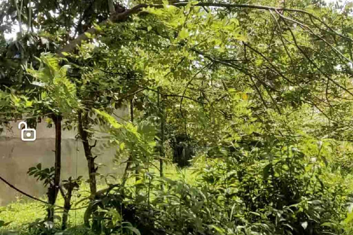 Land for Sale in Tacunan, Davao City, Davao del Sur – photo 3