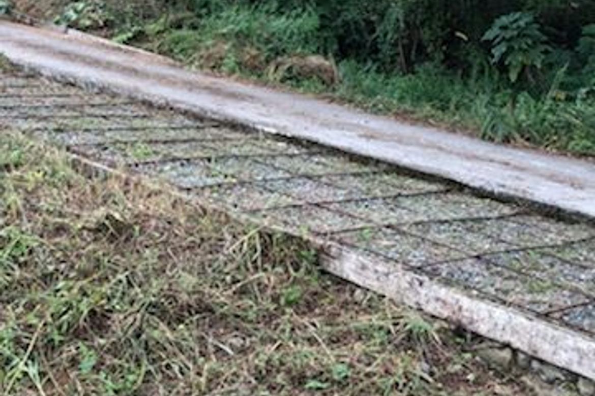 Land for Sale in Tadiangan, Tuba, Benguet – photo 2