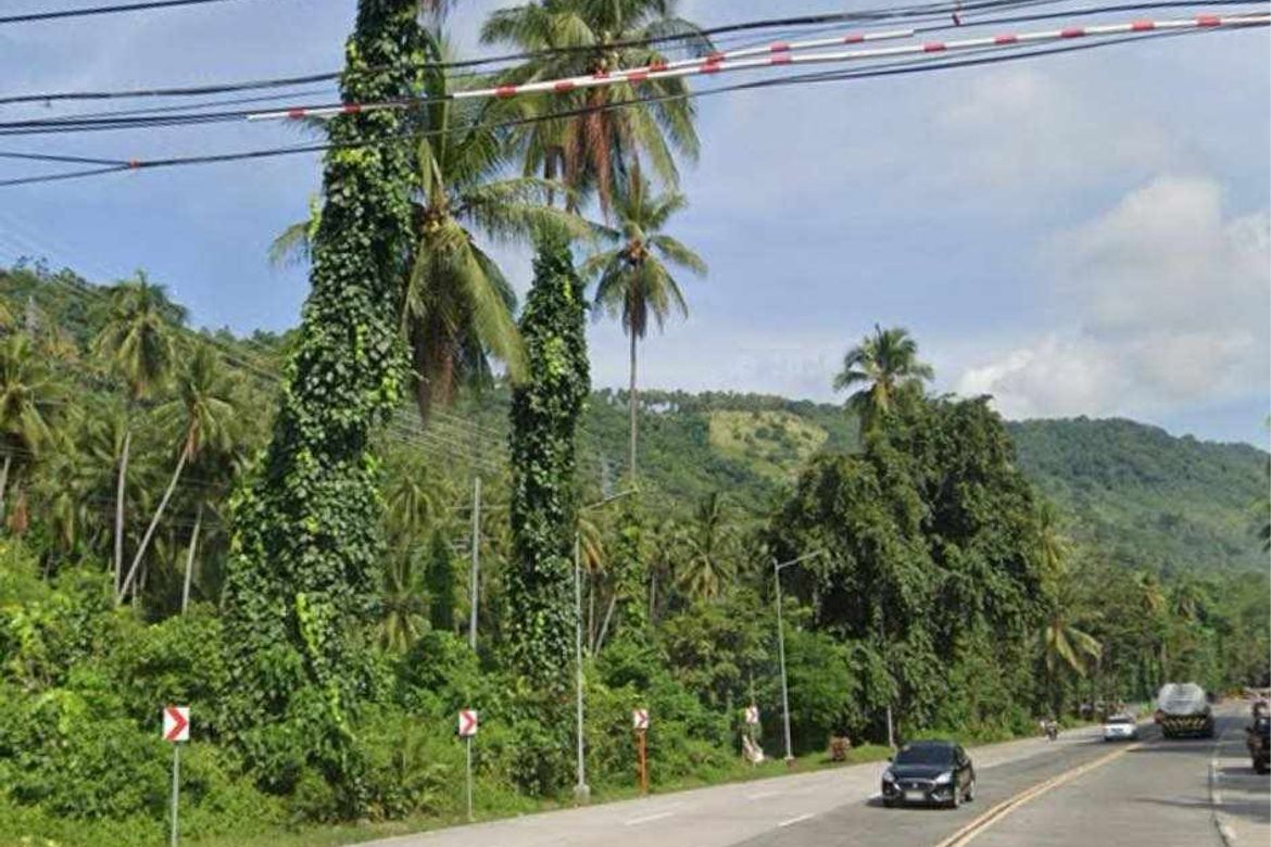 Land for Sale in Tagabuli, Santa Cruz, Davao del Sur