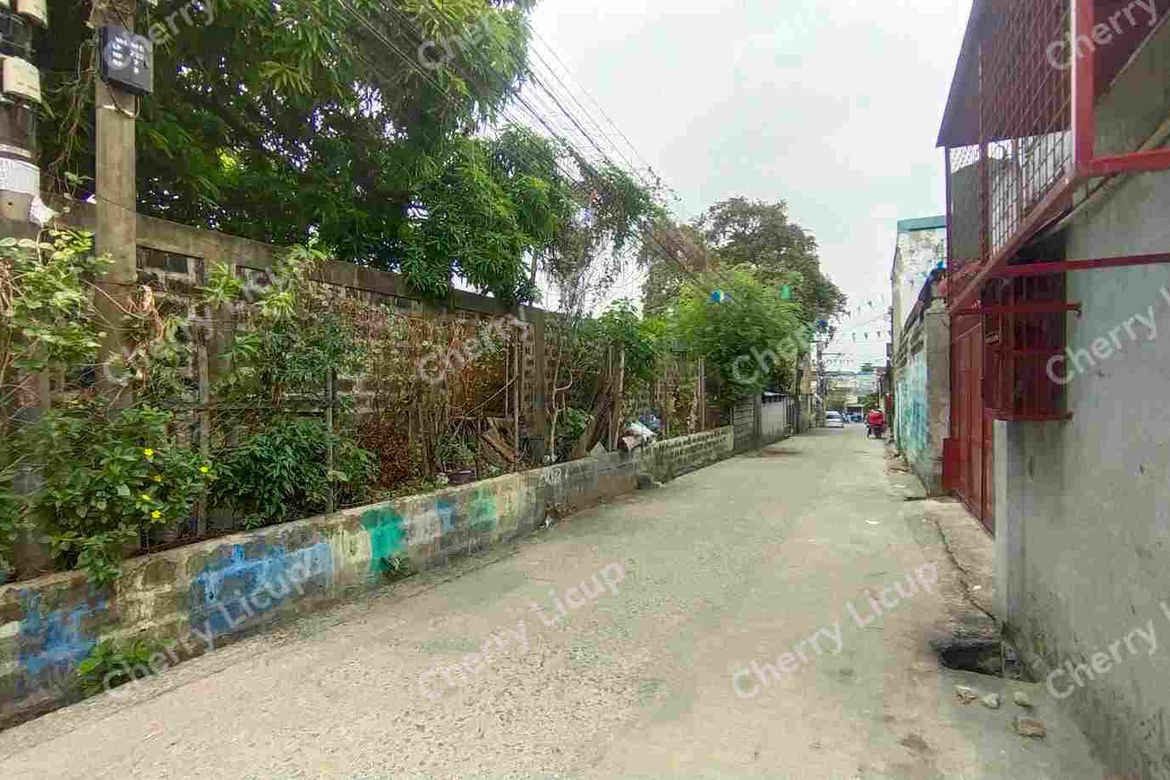 Land for Sale in Tagalag, Valenzuela, Metro Manila