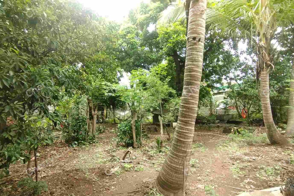 Land for Sale in Tagalag, Valenzuela, Metro Manila – photo 7