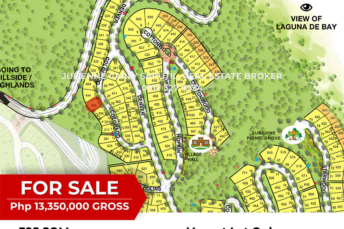 Land for Sale in Tagaytay Highlands, Iruhin East, Tagaytay, Cavite – photo 3