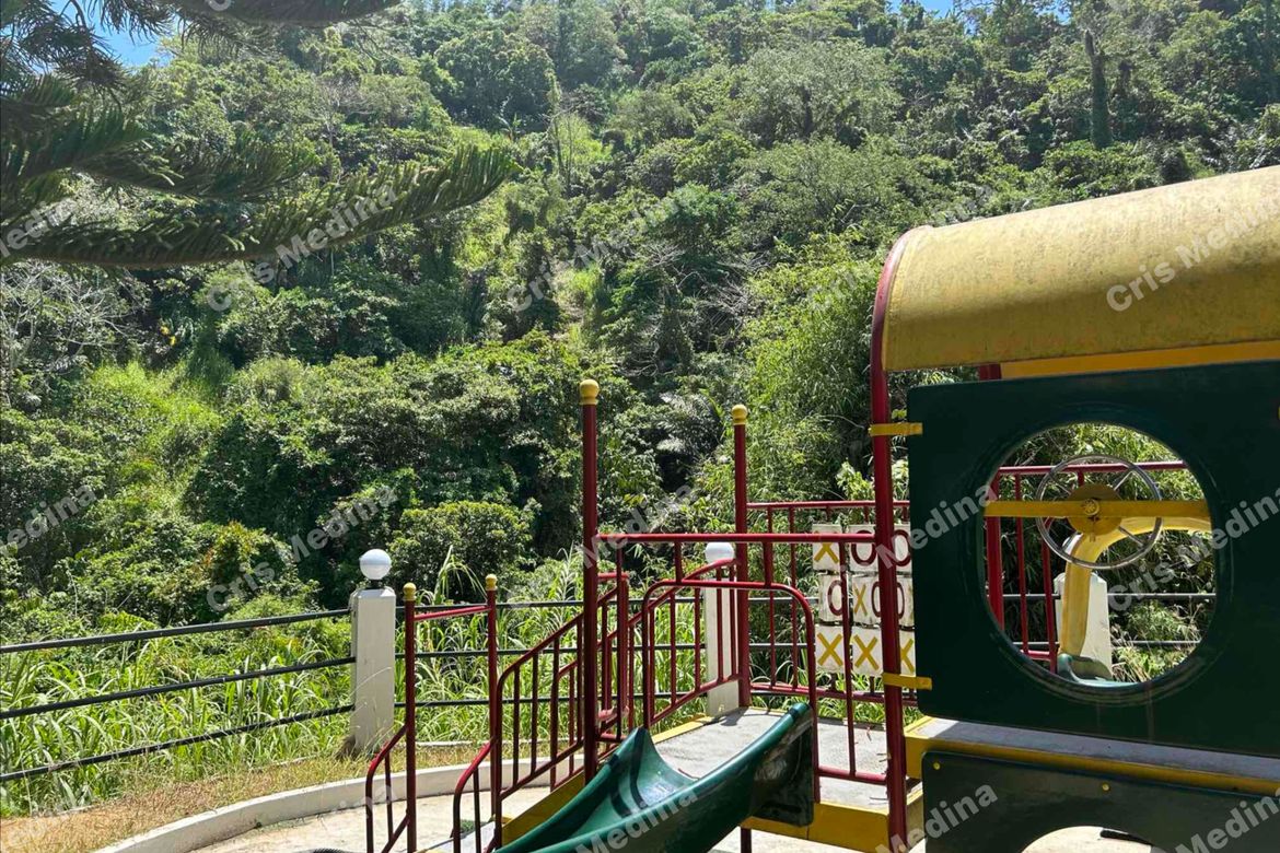 Land for Sale in Tagaytay Monte Vista, Sungay North, Tagaytay, Cavite – photo 3