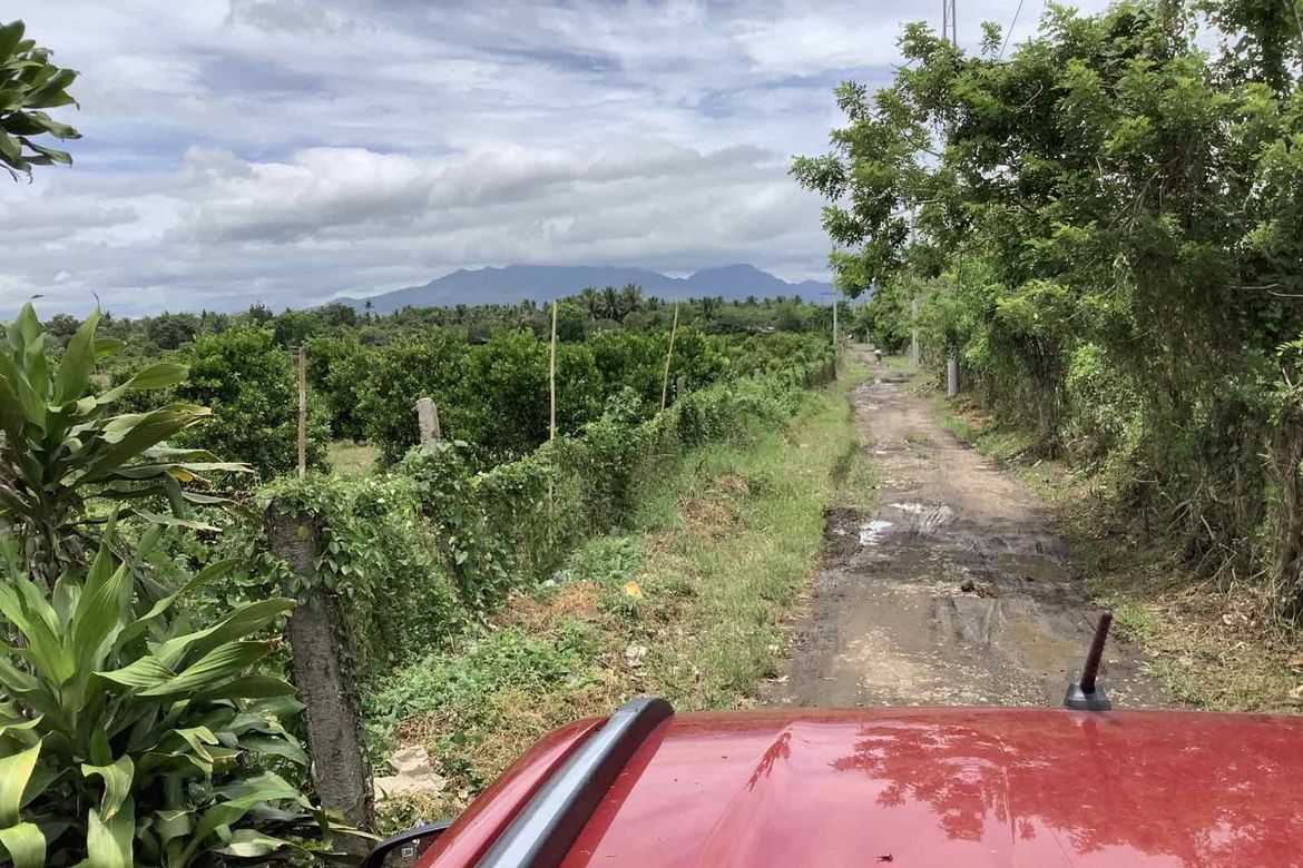Land for Sale in Tagbakin, Tiaong, Quezon