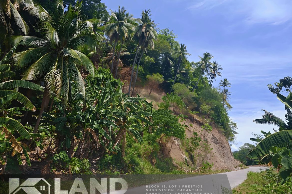 Land for Sale in Tagbaobo, Samal, Davao del Norte – photo 6